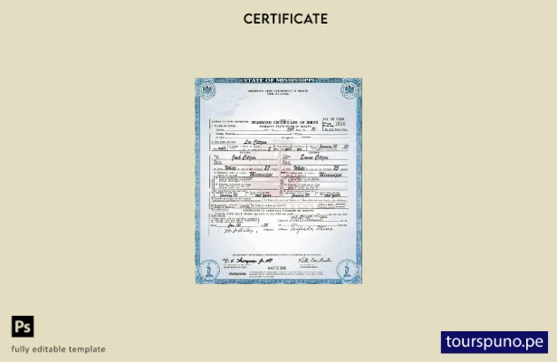 Plantilla de certificado de nacimiento del estado de Mississippi lista para impr